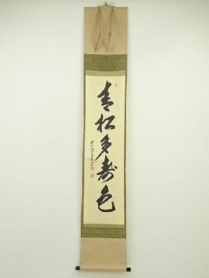 前大徳　上坂教道（宗育）筆　「青松多寿色」一行書　肉筆紙本掛軸（共箱）